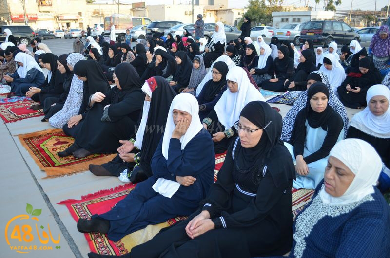 lud salah 3eed hq (4).JPG